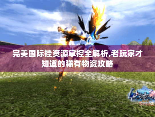 完美国际挂资源掌控全解析,老玩家才知道的稀有物资攻略