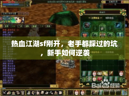 热血江湖sf刚开,老手都踩过的坑,新手如何逆袭 热血江湖sf刚开,老手都踩过的坑,新手如何逆袭