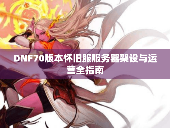 DNF70版本怀旧服服务器架设与运营全指南 DNF70版本怀旧服服务器架设与运营全指南