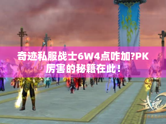 奇迹私服战士6W4点咋加?PK厉害的秘籍在此！