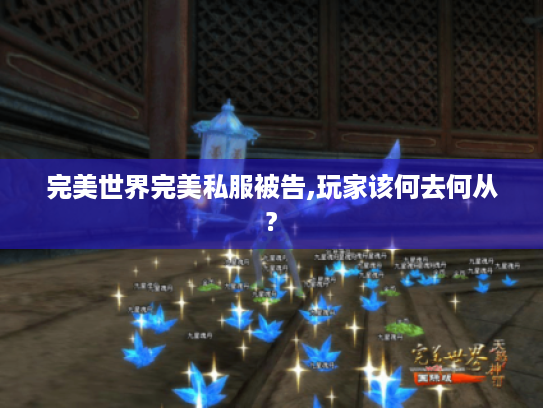 完美世界完美私服被告,玩家该何去何从? 完美世界完美私服被告,玩家该何去何从?