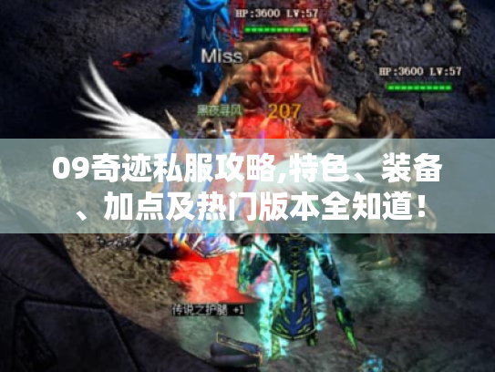 09奇迹私服攻略,特色、装备、加点及热门版本全知道! 09奇迹私服攻略,特色、装备、加点及热门版本全知道!