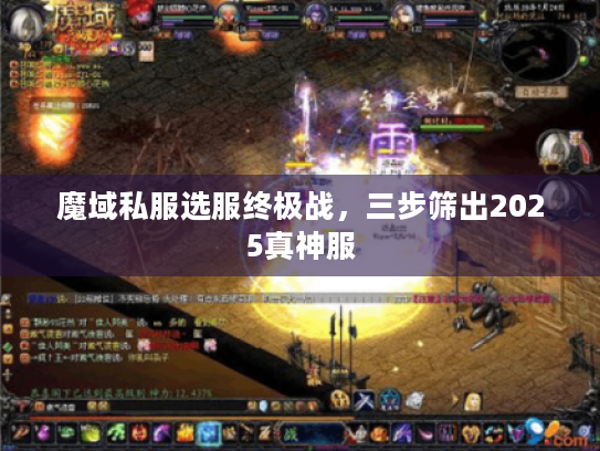 魔域私服选服终极战,三步筛出2025真神服 魔域私服选服终极战,三步筛出2025真神服