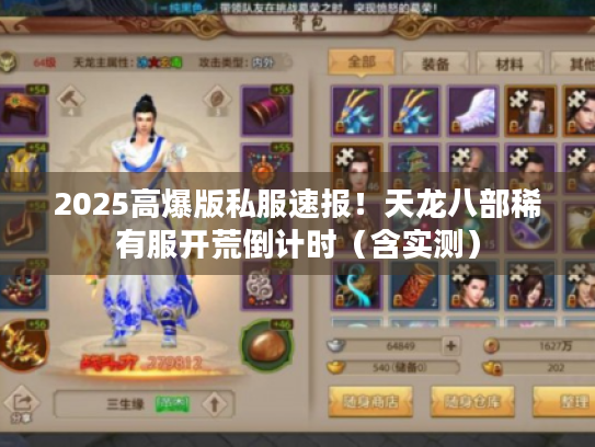 2025高爆版私服速报！天龙八部稀有服开荒倒计时（含实测）