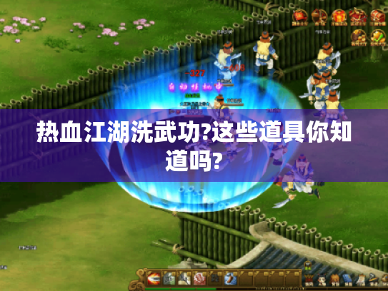 热血江湖洗武功?这些道具你知道吗? 热血江湖洗武功?这些道具你知道吗?