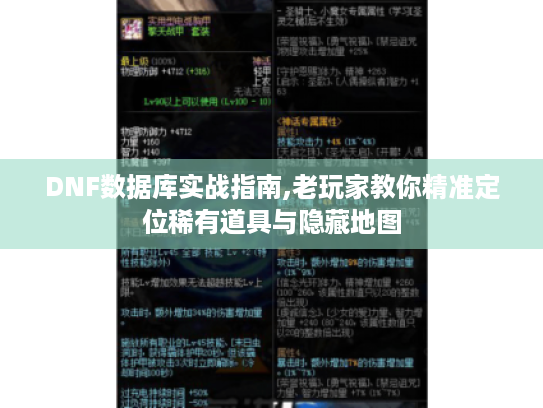 DNF数据库实战指南,老玩家教你精准定位稀有道具与隐藏地图