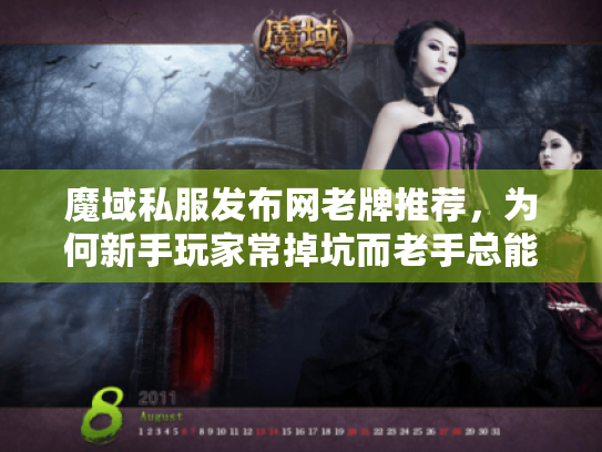 魔域私服发布网老牌推荐，为何新手玩家常掉坑而老手总能锁定真经典？