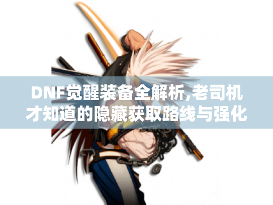 DNF觉醒装备全解析,老司机才知道的隐藏获取路线与强化秘籍 DNF觉醒装备全解析,老司机才知道的隐藏获取路线与强化秘籍