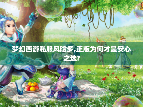 梦幻西游私服风险多,正版为何才是安心之选? 梦幻西游私服风险多,正版为何才是安心之选?