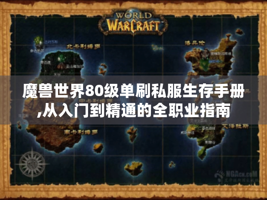 魔兽世界80级单刷私服生存手册,从入门到精通的全职业指南 魔兽世界80级单刷私服生存手册,从入门到精通的全职业指南