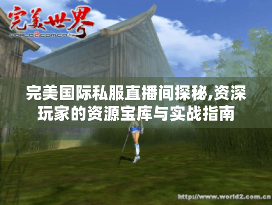 完美国际私服直播间探秘,资深玩家的资源宝库与实战指南