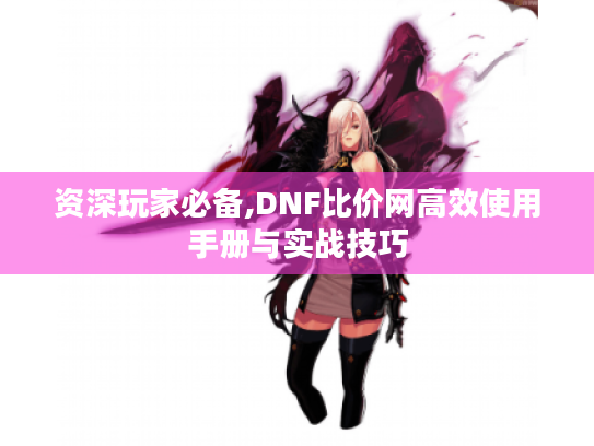资深玩家必备,DNF比价网高效使用手册与实战技巧 资深玩家必备,DNF比价网高效使用手册与实战技巧