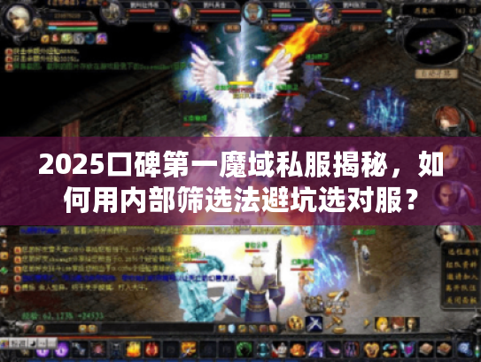 2025口碑第一魔域私服揭秘,如何用内部筛选法避坑选对服? 2025口碑第一魔域私服揭秘,如何用内部筛选法避坑选对服?