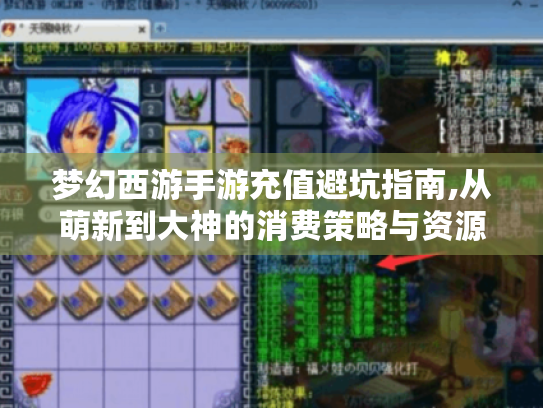 梦幻西游手游充值避坑指南,从萌新到大神的消费策略与资源分配技巧 梦幻西游手游充值避坑指南,从萌新到大神的消费策略与资源分配技巧