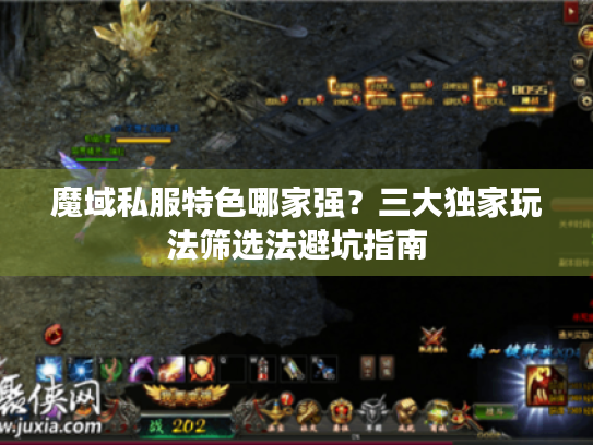 魔域私服特色哪家强?三大独家玩法筛选法避坑指南 魔域私服特色哪家强?三大独家玩法筛选法避坑指南