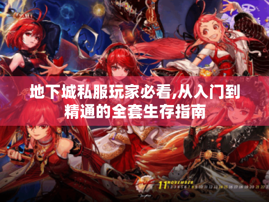 地下城私服玩家必看,从入门到精通的全套生存指南 地下城私服玩家必看,从入门到精通的全套生存指南