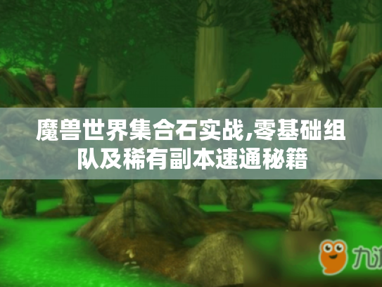 魔兽世界集合石实战,零基础组队及稀有副本速通秘籍 魔兽世界集合石实战,零基础组队及稀有副本速通秘籍