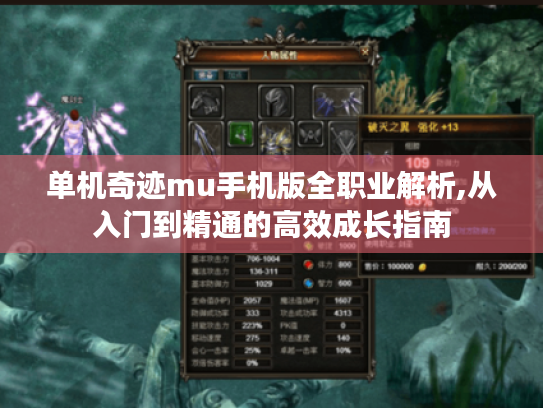 单机奇迹mu手机版全职业解析,从入门到精通的高效成长指南 单机奇迹mu手机版全职业解析,从入门到精通的高效成长指南