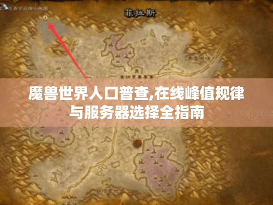 魔兽世界人口普查,在线峰值规律与服务器选择全指南