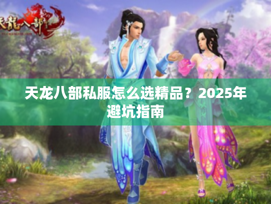 天龙八部私服怎么选精品？2025年避坑指南