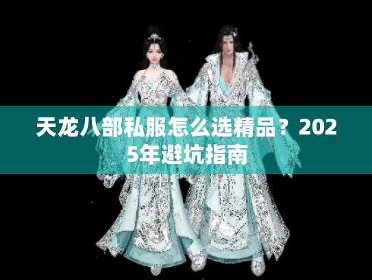 天龙八部私服怎么选精品？2025年避坑指南