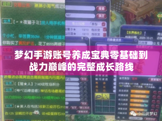 梦幻手游账号养成宝典零基础到战力巅峰的完整成长路线 梦幻手游账号养成宝典零基础到战力巅峰的完整成长路线