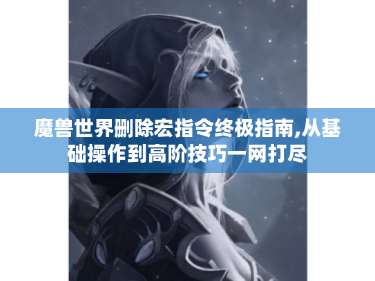 魔兽世界删除宏指令终极指南,从基础操作到高阶技巧一网打尽 魔兽世界删除宏指令终极指南,从基础操作到高阶技巧一网打尽