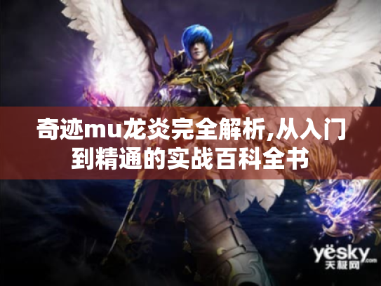 奇迹mu龙炎完全解析,从入门到精通的实战百科全书 奇迹mu龙炎完全解析,从入门到精通的实战百科全书