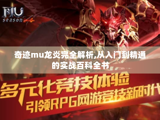 奇迹mu龙炎完全解析,从入门到精通的实战百科全书 奇迹mu龙炎完全解析,从入门到精通的实战百科全书