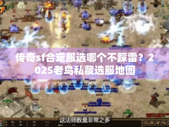 传奇sf合宠服选哪个不踩雷?2025老鸟私藏选服地图 传奇sf合宠服选哪个不踩雷?2025老鸟私藏选服地图
