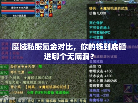 魔域私服氪金对比,你的钱到底砸进哪个无底洞? 魔域私服氪金对比,你的钱到底砸进哪个无底洞?