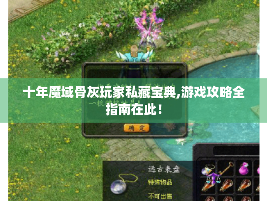 十年魔域骨灰玩家私藏宝典,游戏攻略全指南在此! 十年魔域骨灰玩家私藏宝典,游戏攻略全指南在此!