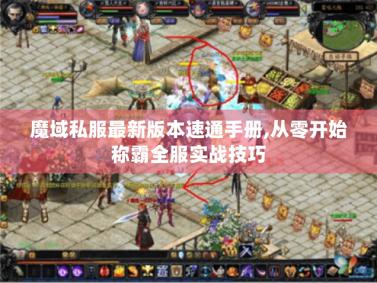 魔域私服最新版本速通手册,从零开始称霸全服实战技巧 魔域私服最新版本速通手册,从零开始称霸全服实战技巧