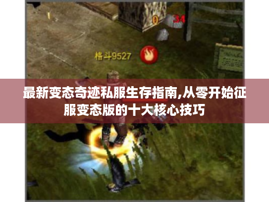 最新变态奇迹私服生存指南,从零开始征服变态版的十大核心技巧 最新变态奇迹私服生存指南,从零开始征服变态版的十大核心技巧