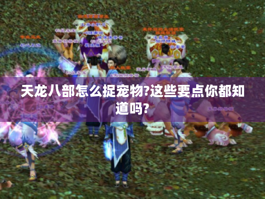 天龙八部怎么捉宠物?这些要点你都知道吗? 天龙八部怎么捉宠物?这些要点你都知道吗?