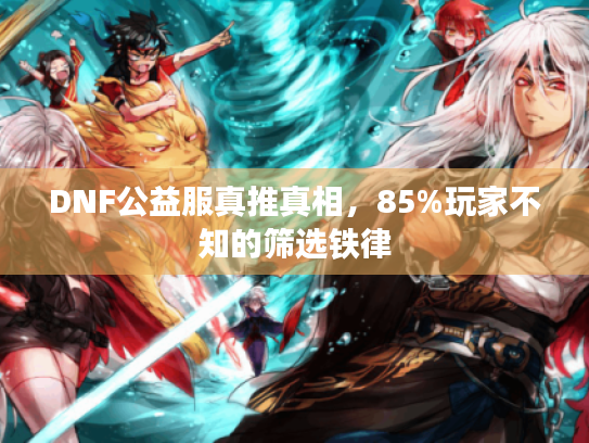 DNF公益服真推真相，85%玩家不知的筛选铁律