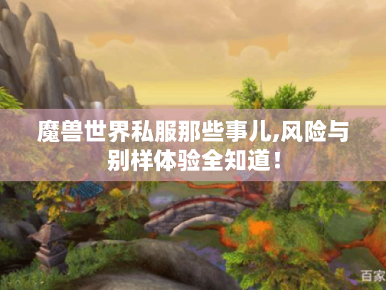魔兽世界私服那些事儿,风险与别样体验全知道! 魔兽世界私服那些事儿,风险与别样体验全知道!