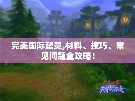 完美国际塑灵,材料、技巧、常见问题全攻略! 完美国际塑灵,材料、技巧、常见问题全攻略!
