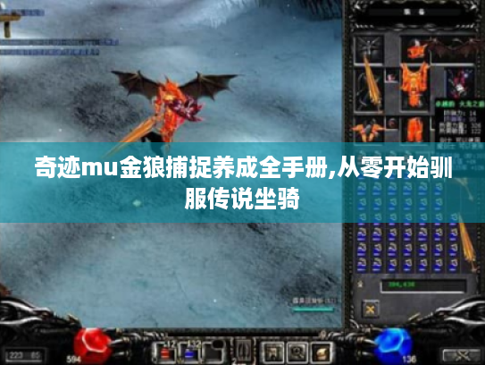 奇迹mu金狼捕捉养成全手册,从零开始驯服传说坐骑 奇迹mu金狼捕捉养成全手册,从零开始驯服传说坐骑