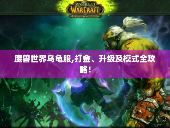 魔兽世界乌龟服,打金、升级及模式全攻略! 魔兽世界乌龟服,打金、升级及模式全攻略!