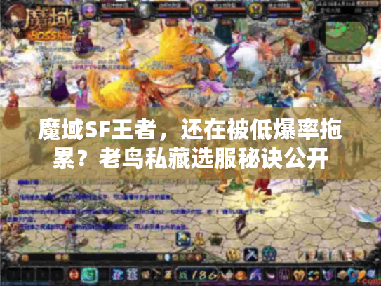 魔域SF王者，还在被低爆率拖累？老鸟私藏选服秘诀公开