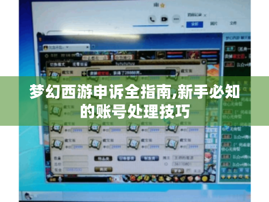 梦幻西游申诉全指南,新手必知的账号处理技巧