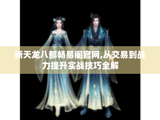 新天龙八部畅易阁官网,从交易到战力提升实战技巧全解 新天龙八部畅易阁官网,从交易到战力提升实战技巧全解