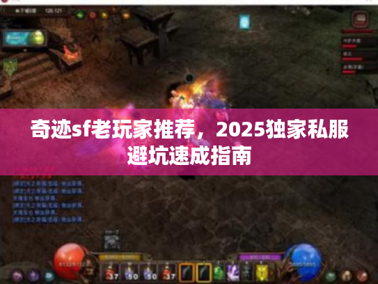 奇迹sf老玩家推荐,2025独家私服避坑速成指南 奇迹sf老玩家推荐,2025独家私服避坑速成指南
