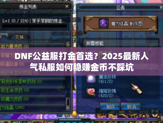 DNF公益服打金首选?2025最新人气私服如何稳赚金币不踩坑 DNF公益服打金首选?2025最新人气私服如何稳赚金币不踩坑