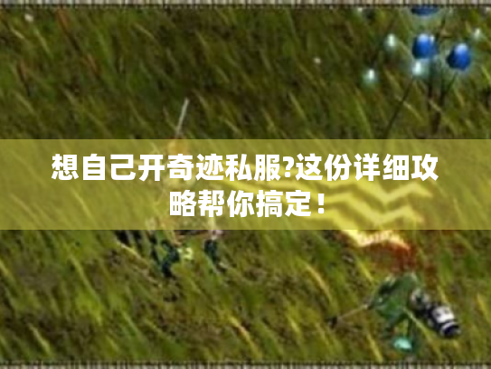 想自己开奇迹私服?这份详细攻略帮你搞定! 想自己开奇迹私服?这份详细攻略帮你搞定!