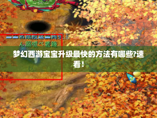 梦幻西游宝宝升级最快的方法有哪些?速看! 梦幻西游宝宝升级最快的方法有哪些?速看!