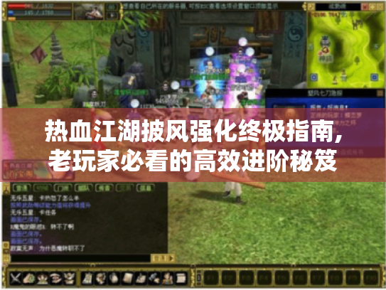 热血江湖披风强化终极指南,老玩家必看的高效进阶秘笈 热血江湖披风强化终极指南,老玩家必看的高效进阶秘笈