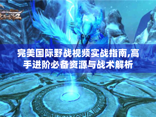 完美国际野战视频实战指南,高手进阶必备资源与战术解析 完美国际野战视频实战指南,高手进阶必备资源与战术解析