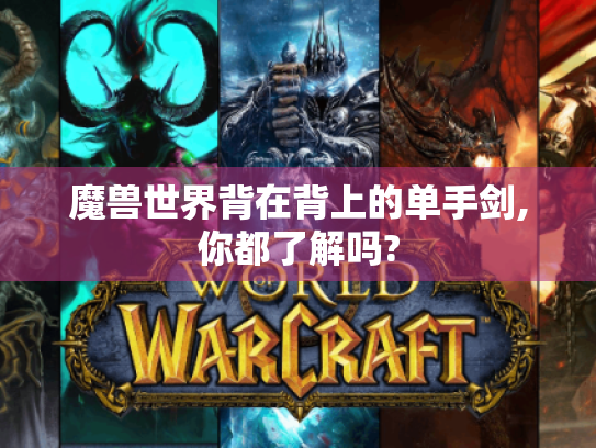 魔兽世界背在背上的单手剑,你都了解吗?